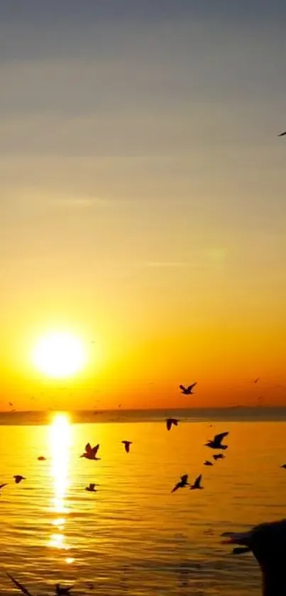 Sunset with seagulls flying over a calm ocean horizon.