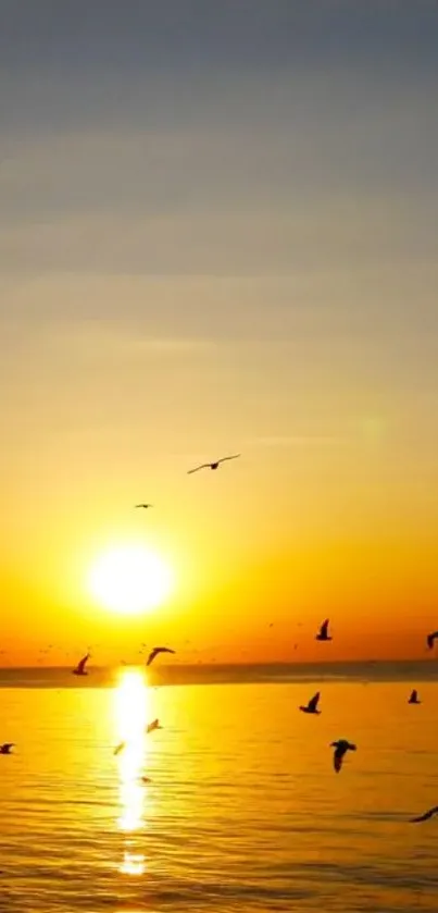 Beautiful sunset over the ocean with birds in flight.