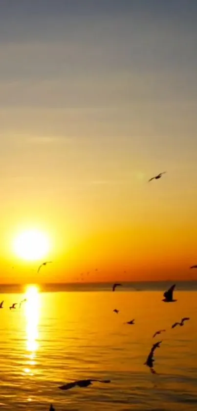 Sunset over ocean with silhouetted birds flying