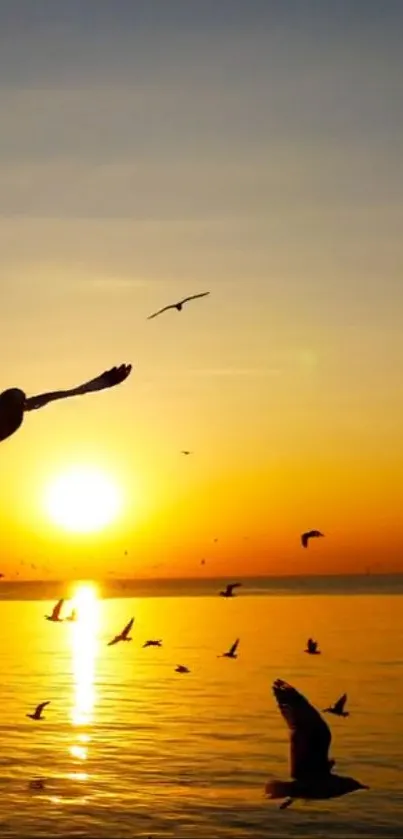 Sunset with birds flying over ocean waters, vibrant orange sky.