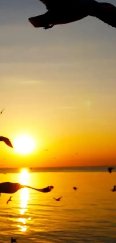 Silhouette of birds flying across a vibrant orange ocean sunset.