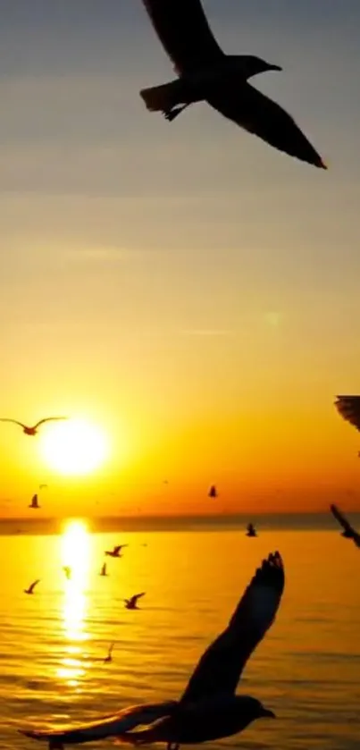 Sunset over ocean with seagulls in flight.