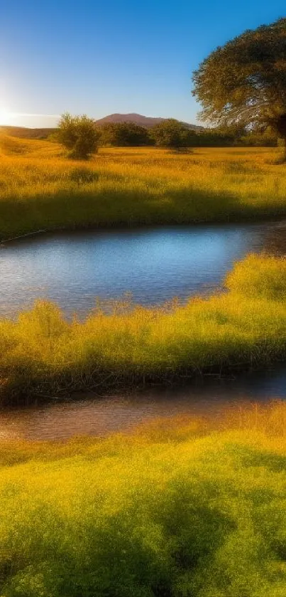Serene sunset over a riverbank with lush fields and a majestic tree.