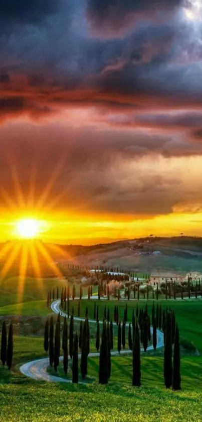 Sunset over rolling green hills with vibrant sky.