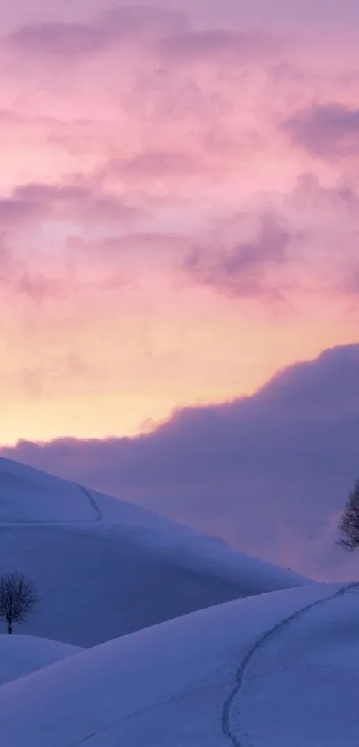 Sunset over snowy hills with silhouetted trees.