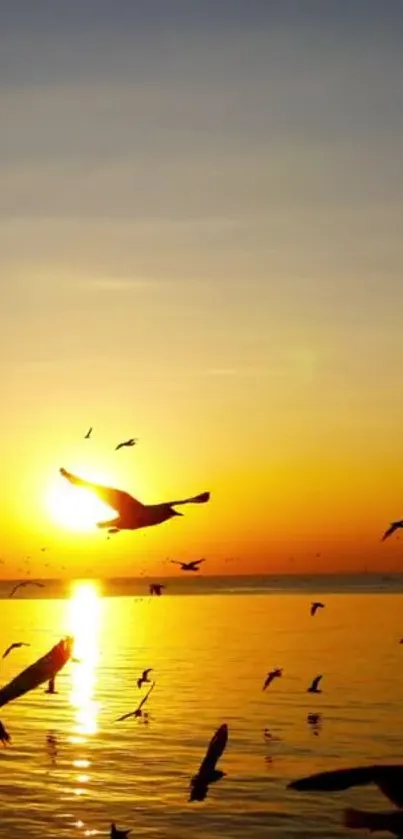 Sunset with birds flying over a calm ocean.