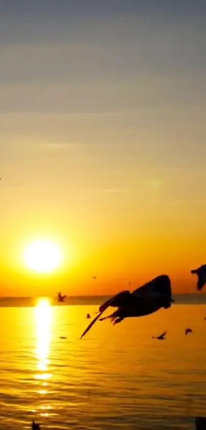 Sunset over ocean with birds silhouetted.