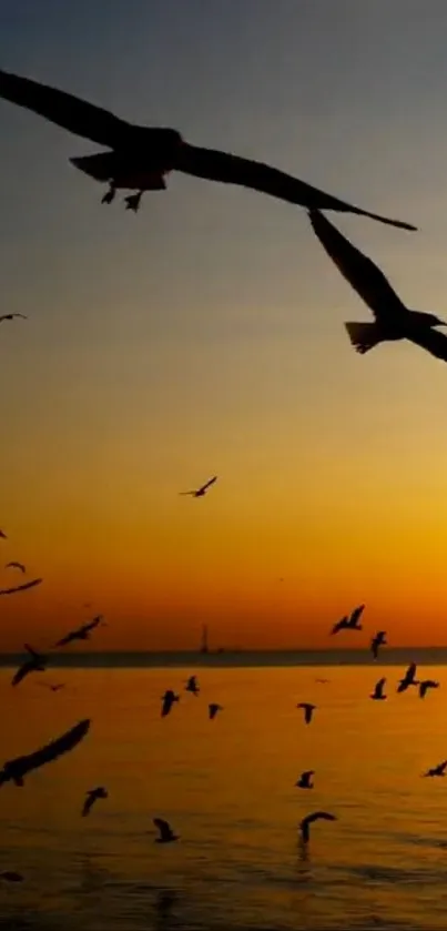 Seagulls flying over a sunset-lit ocean with a tranquil orange sky.