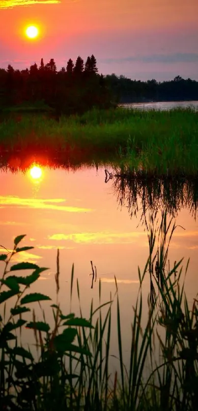 Beautiful sunset over a tranquil lake with reflections and lush greenery.