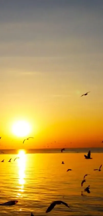 Sunset over ocean with flying birds.