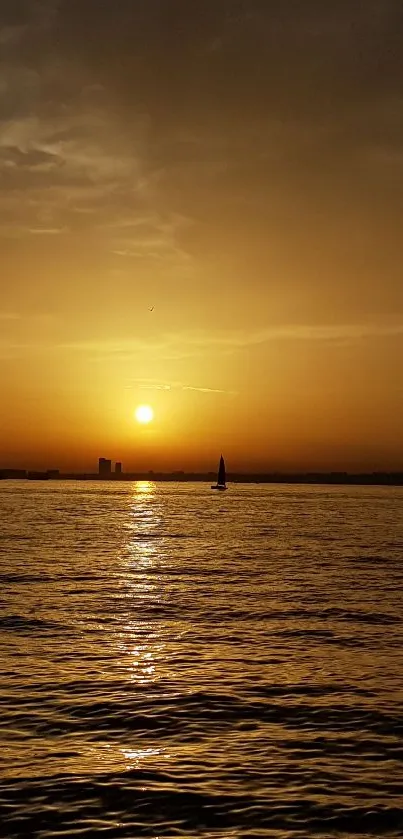 Golden sunset over calm ocean with silhouette of a sailboat on the horizon.