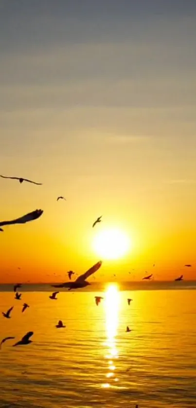 Mobile wallpaper of an orange sunset with birds flying over the ocean.