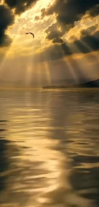 Sunset with golden rays over calm, reflective water and a bird in the sky.