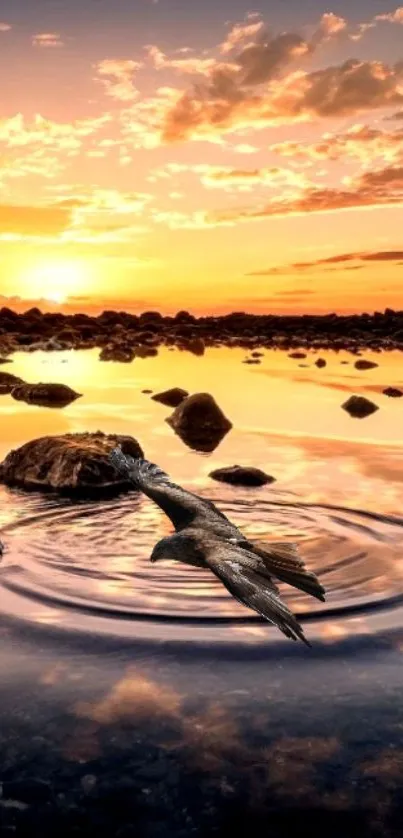 Serene sunset reflecting over a calm lake with vivid orange hues.