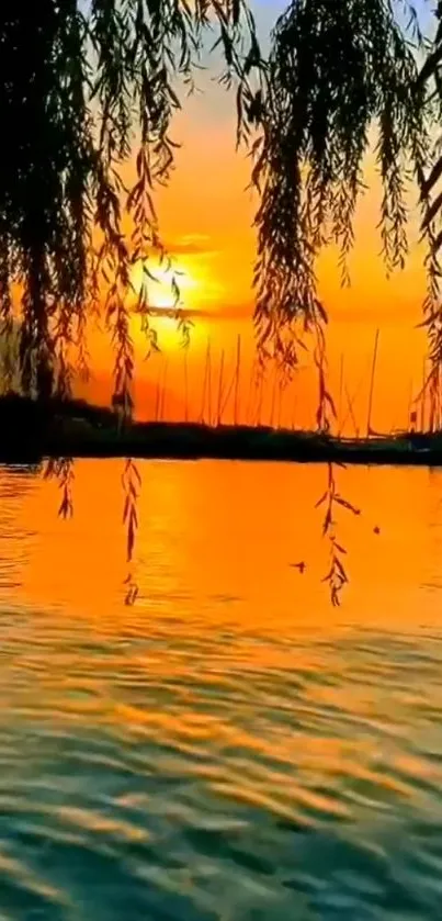 Serene sunset with trees over a calm lake.