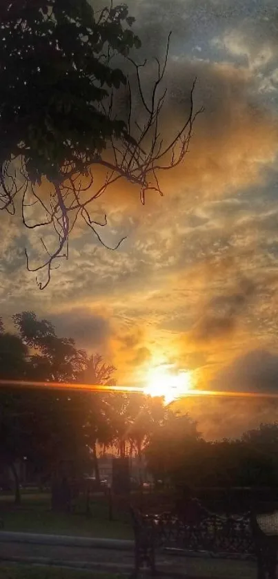 Serene sunset over park with bench and trees.