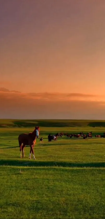 Tranquil sunset over lush green meadows with horses.