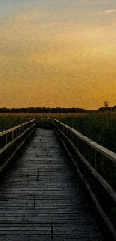 Wooden boardwalk through marshlands at sunset, with a tranquil evening sky.