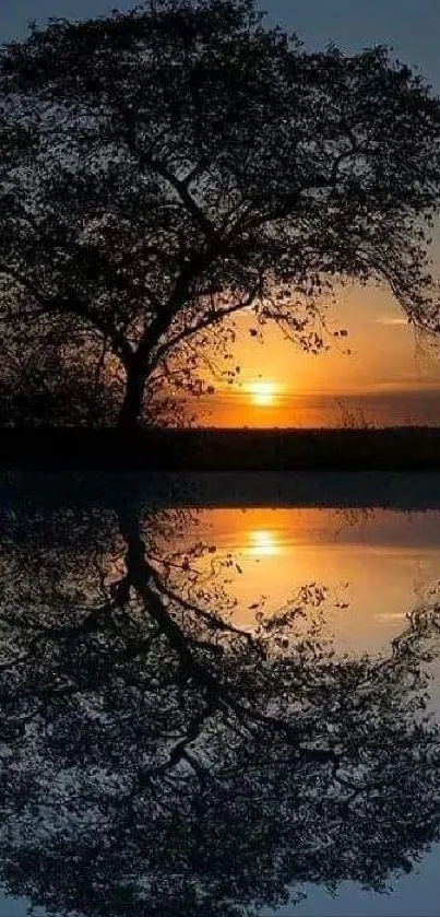 A tree silhouette reflecting in a sunset-lit lake.