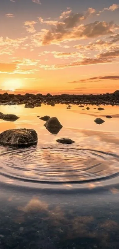 Serene sunset reflecting over calm waters with rocky shore.