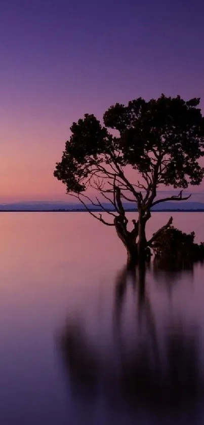 Serene sunset with tree reflection in calm waters, ideal for meditation.