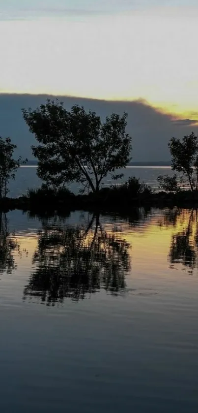 Serene sunset reflection with silhouetted trees over calm water.