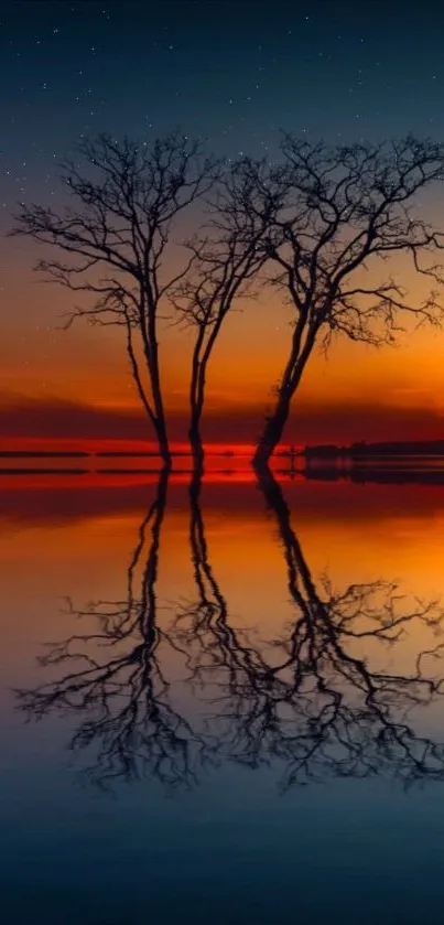 Silhouetted trees reflected in a serene sunset over calm water.