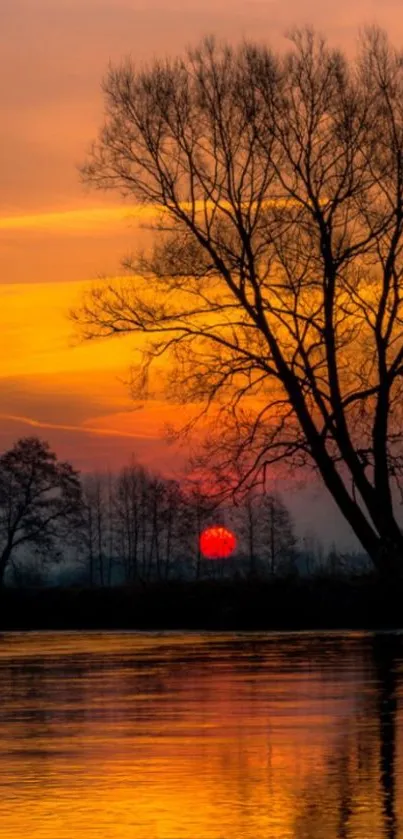 Sunset by a lake with trees reflecting on water, orange sky.