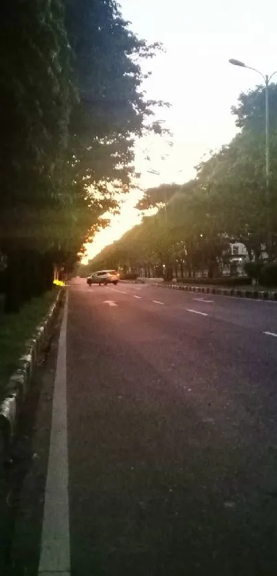 Tranquil sunset road lined with green trees.