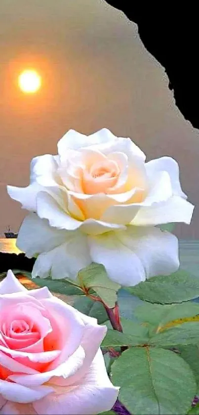 Sunset view with two white roses and vibrant landscape.