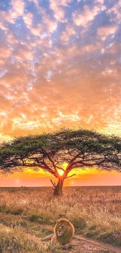 A majestic lion under an acacia tree at sunset with vibrant colors and serene landscape.