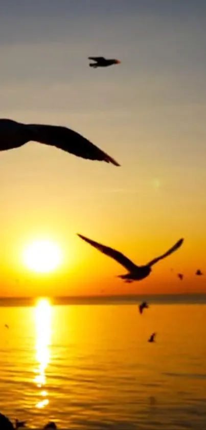 Sunset view with birds over the ocean.