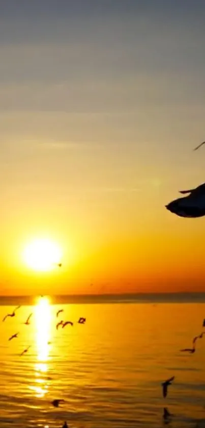 Ocean sunset with seagulls in flight.