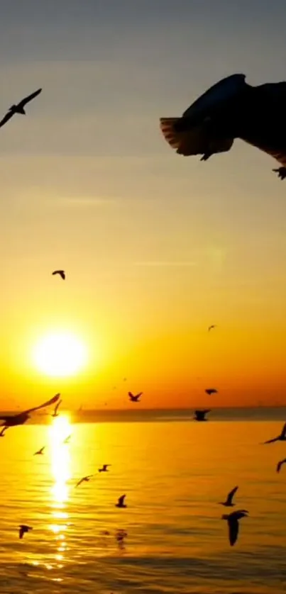 Birds flying over ocean at sunset with vibrant sky.