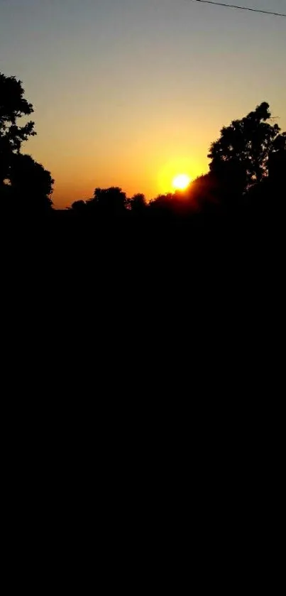 Serene sunset silhouette with trees and skyline.