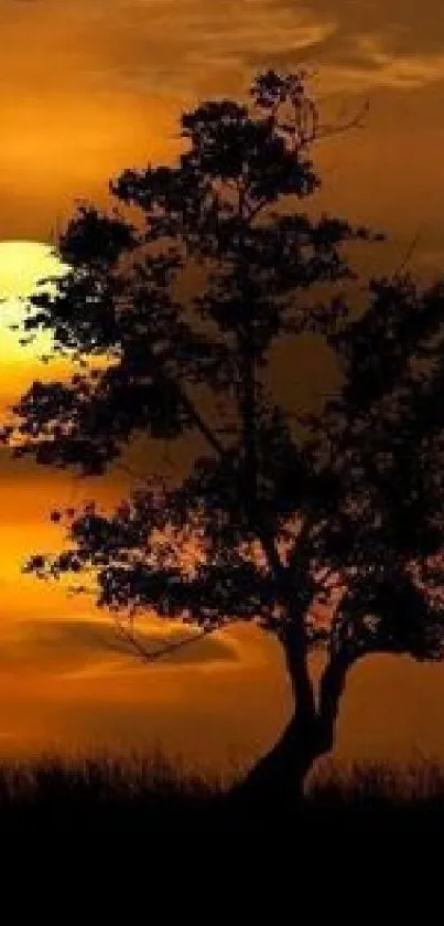 Silhouette of a tree against an orange sunset sky.