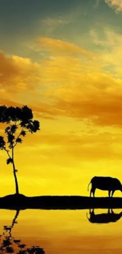 Sunset silhouette with tree and cattle reflecting in water.