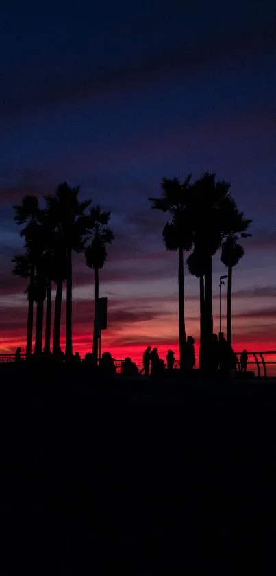 Silhouette of palm trees against a colorful sunset sky wallpaper.