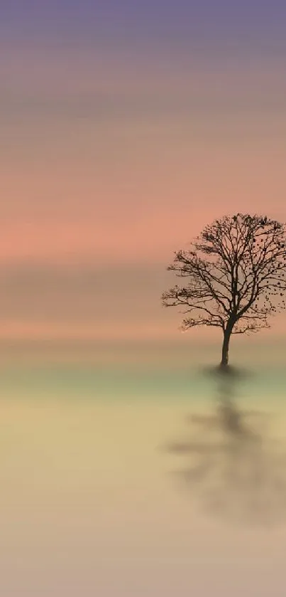 Serene sunset wallpaper with a tree silhouette and pastel gradient.