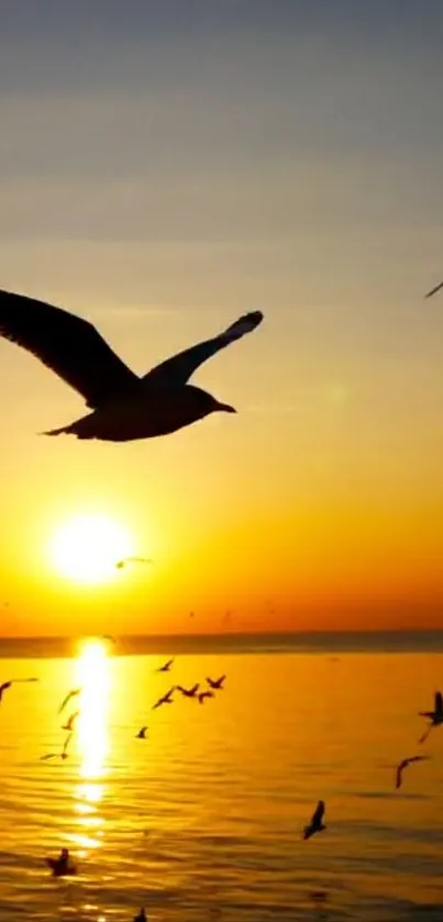 Serene sunset with birds flying over water reflecting orange hues.