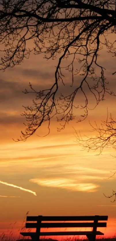 Silhouette of person with cane at sunset with a tree.