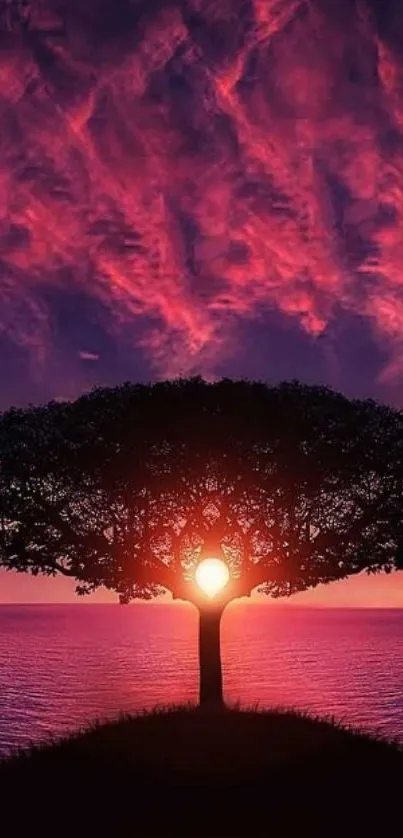 Tree silhouette at sunset with deep pink and purple sky.