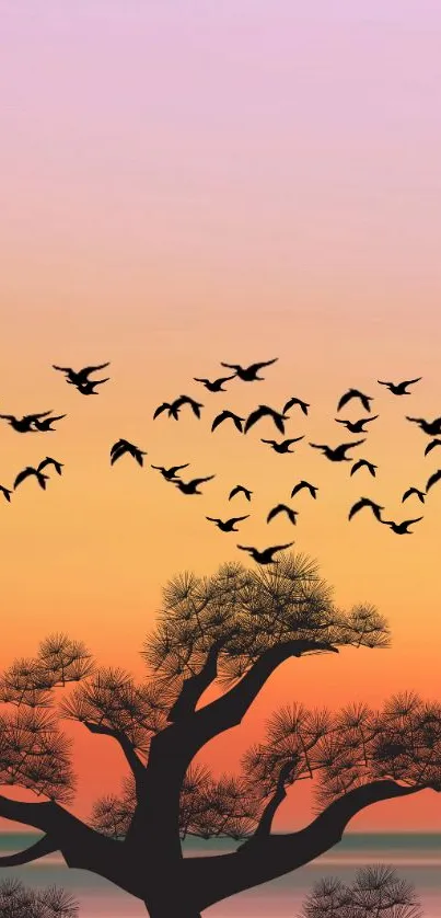 Sunset with tree and flying birds silhouette wallpaper.