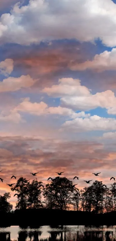 Serene sunset sky with clouds and birds above a silhouette landscape.