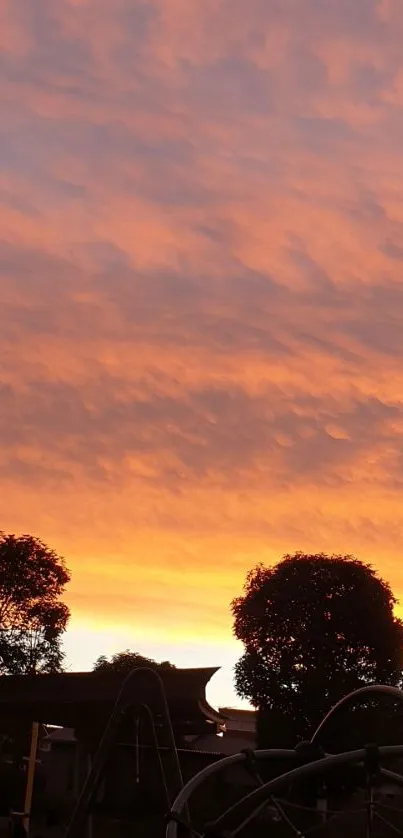 Silhouette of trees against an orange sunset sky.