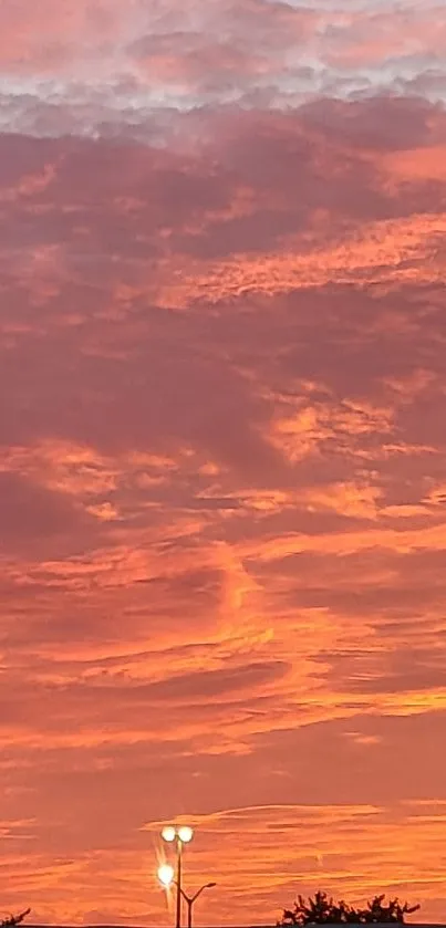 Vibrant orange sunset sky with clouds.