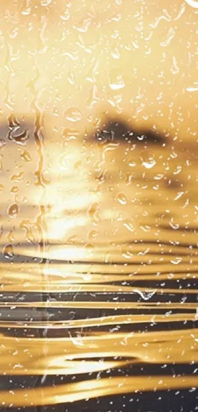 Golden sunset with raindrops on window, creating a serene mobile wallpaper scene.