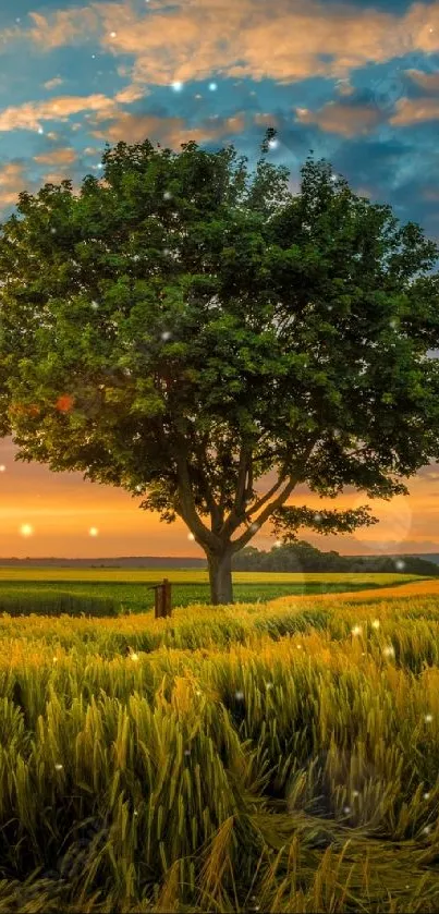 Lone tree in a golden sunset field with vibrant sky backdrop.