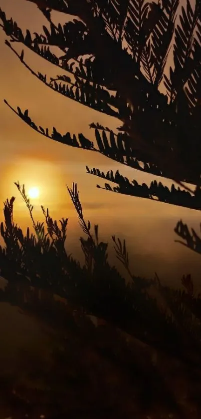 Silhouette of tree branches against a sunset sky with warm tones.