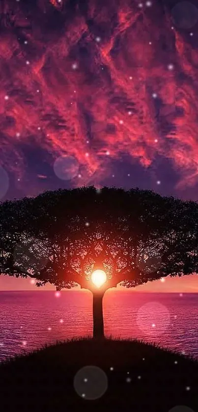 Lone tree silhouette at sunset with vibrant sky.